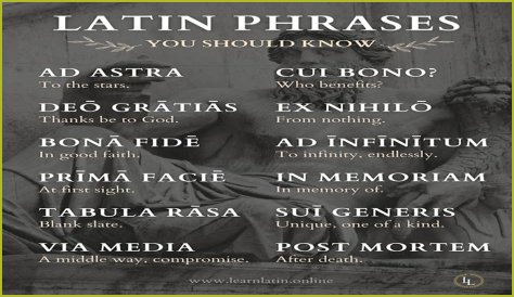 A Profile Of A Latin Beauty